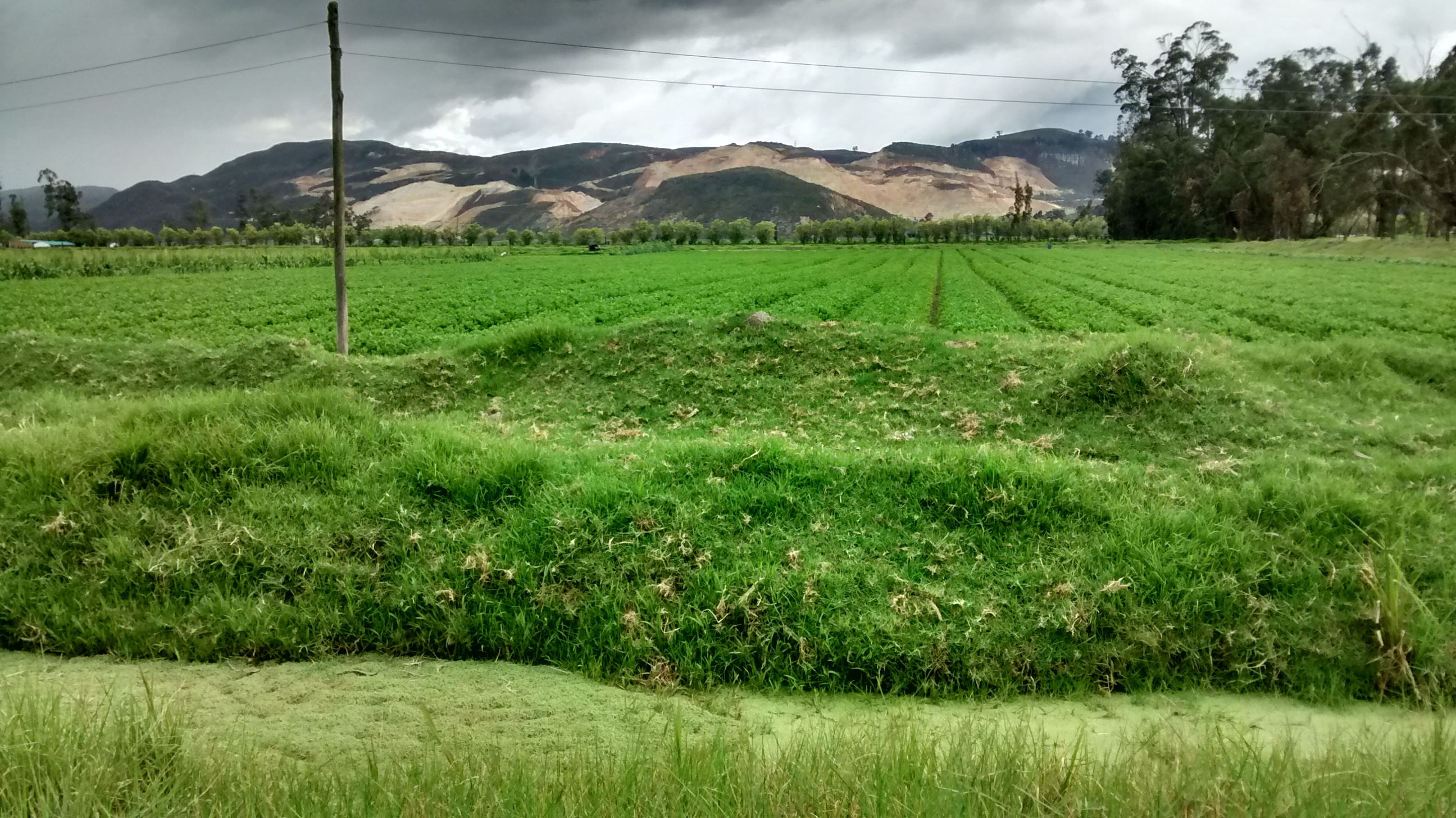 Desafíos y Mecanismos de Tratamiento Avanzado para Aguas de Riego: Gestión de Contaminantes Emergentes